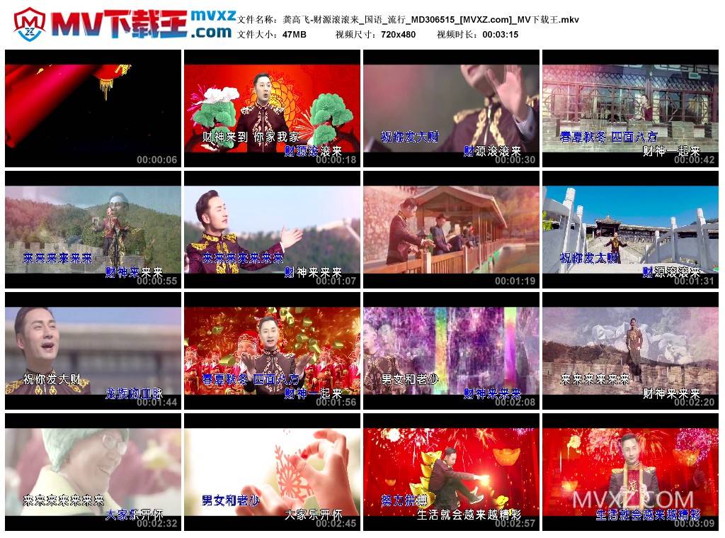 龚高飞-财源滚滚来_国语_流行_MD306515